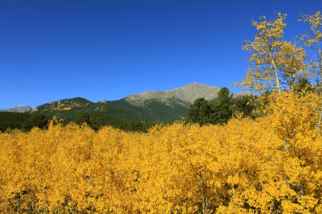 Meeker-Aspen 92011.jpg